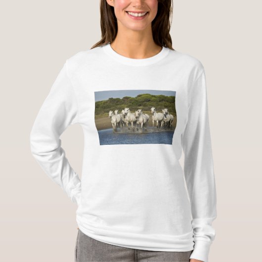 Frankreich, Camargue. Pferde laufen durch die Münd T-Shirt (Vorderseite)