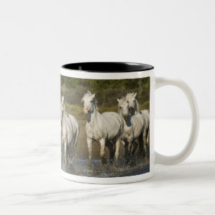 Frankreich, Camargue. Pferde laufen durch die Münd Zweifarbige Tasse