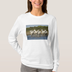 Frankreich, Camargue. Pferde laufen gelassen durch T-Shirt