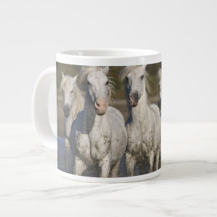 Frankreich, Camargue. Pferde laufen Jumbo-Tasse