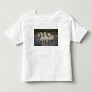 Frankreich, Camargue. Pferde laufen Kleinkind T-shirt