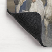 Frankreich, Camargue. Pferderennlauf Mousepad (Ecke)