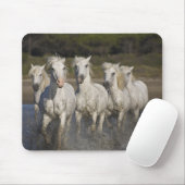 Frankreich, Camargue. Pferderennlauf Mousepad (Mit Mouse)