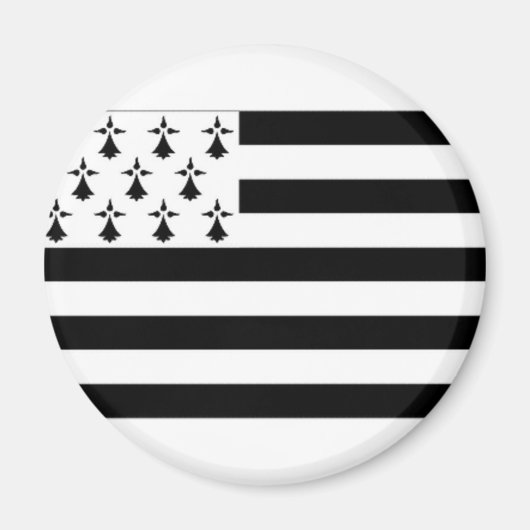 Frankreich Flagge Bretagne Magnet (Vorne)
