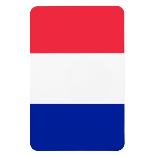 Frankreich-Flagge Magnet (Vertikal)