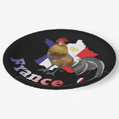 Frankreich France Francia Teller (Schrägansicht)