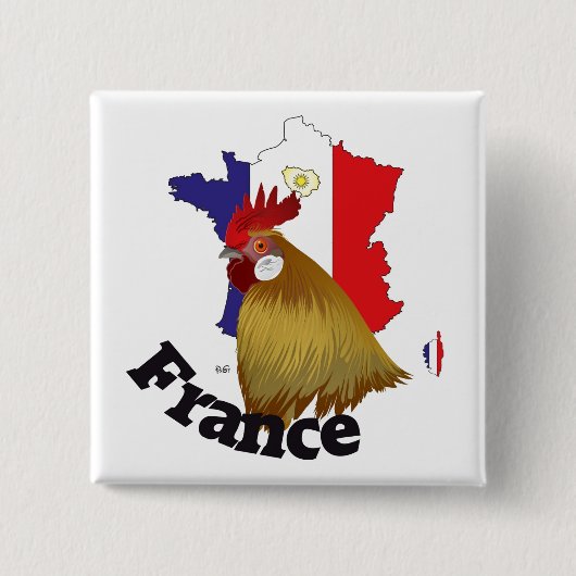 Frankreich Francia Button (Vorderseite)