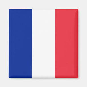 Frankreich (Französisch) Flagge Magnet