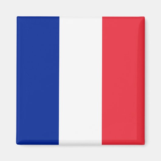 Frankreich (Französisch) Flagge Magnet (Vorne)