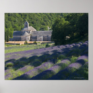 Frankreich, Gordes, Senaque Abbey, Lavendelfeld Poster