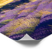 Frankreich, Gordes. Zisterzienserkloster Poster (Ecke)