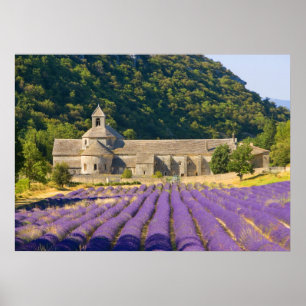 Frankreich, Gordes. Zisterzienserkloster Poster
