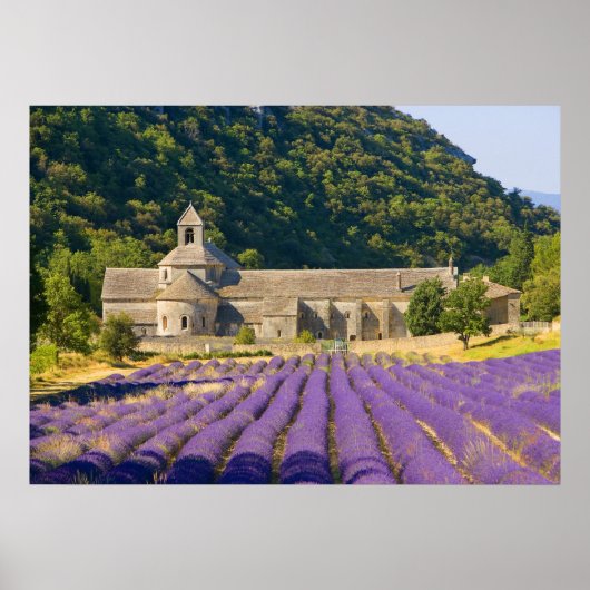 Frankreich, Gordes. Zisterzienserkloster Poster (Vorne)