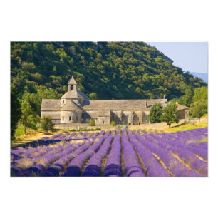 Frankreich, Gordes. Zisterzienserkloster von Fotodruck