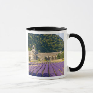 Frankreich, Gordes. Zisterzienserkloster von Tasse
