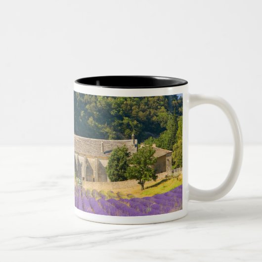 Frankreich, Gordes. Zisterzienserkloster Zweifarbige Tasse (Rechts)