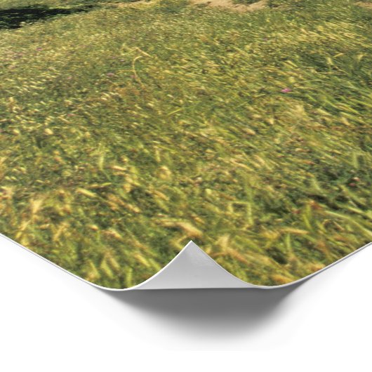 FRANKREICH, Languedoc Carcassonne Poster (Ecke)