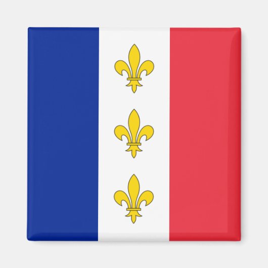 Frankreich Magnet - Tricolor & Fleurs-de-Lys (Vorne)