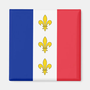 Frankreich-Magnet - Tricolour u. Fleurs-De-Lys Magnet