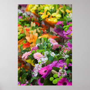 Frankreich, Nord, Frankreich, Flandern, Lille, Waz Poster