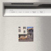 Frankreich, Provence, Bouches-du-Rhone, Arles. Magnet (In Situ (Geschirrspüler))