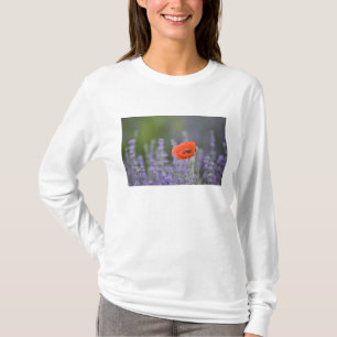 Frankreich, Provence. Einsamer Mohn auf einem Feld T-Shirt