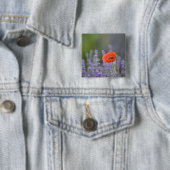 Frankreich, Provence. Einzelmohn im Feld Button (Beispiel)