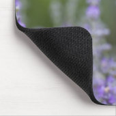 Frankreich, Provence. Einzelmohn im Feld Mousepad (Ecke)