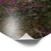 Frankreich, Provence, Eze. Helles Pink Fotodruck (Ecke)