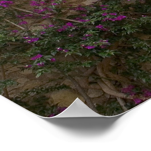 Frankreich, Provence, Eze. Helles Pink Poster (Ecke)