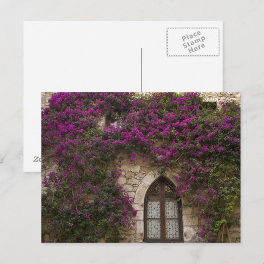 Frankreich, Provence, Eze. Helles Pink Postkarte (Vorne/Hinten)