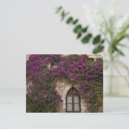 Frankreich, Provence, Eze. Helles Pink Postkarte (Stehend Vorderseite)