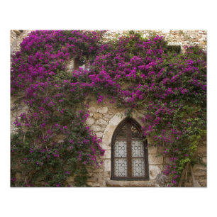 Frankreich, Provence, Eze. Hellrosa Fotodruck