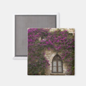 Frankreich, Provence, Eze. Hellrosa Magnet (Vorderseite/Rückseite)