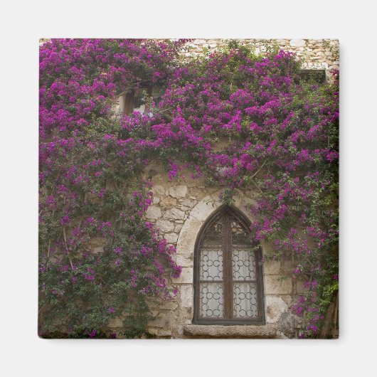 Frankreich, Provence, Eze. Hellrosa Magnet (Vorne)