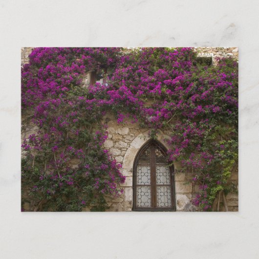 Frankreich, Provence, Eze. Hellrosa Postkarte (Vorderseite)