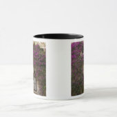 Frankreich, Provence, Eze. Hellrosa Tasse (Zentrum)