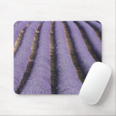 Frankreich, Provence. Lavendel in Blüte.2 Mousepad (Mit Mouse)