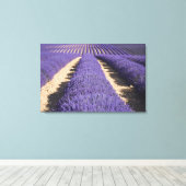 Frankreich, Provence. Lavendel in Blüte. 3 Leinwanddruck (Insitu (Holzboden))