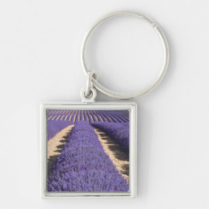 Frankreich, Provence. Lavendel in Blüte.3 Schlüsselanhänger