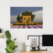 Frankreich, Provence. Lavendelfeld und Poster (Heimbüro)