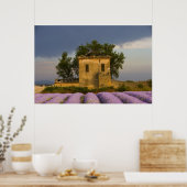 Frankreich, Provence. Lavendelfeld und Poster (Küche)