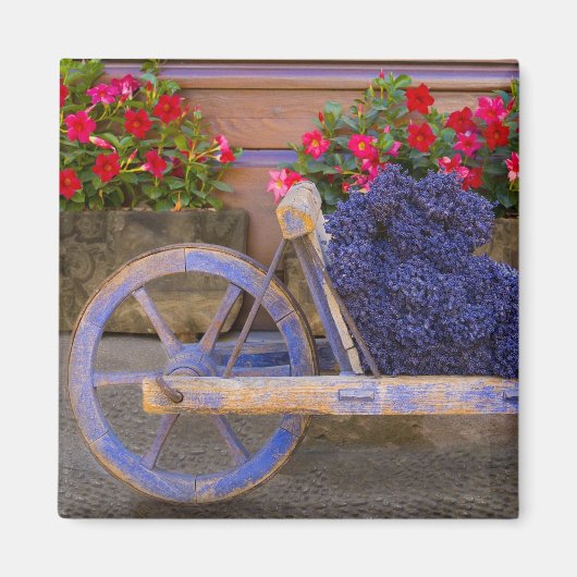 Frankreich, Provence, Sault. Alter Holzkarren mit Magnet (Vorne)