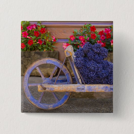 Frankreich, Provence, Sault. Altkarren aus Holz mi Button (Vorderseite)