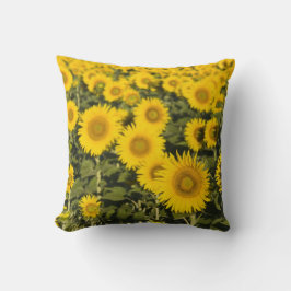 Frankreich, Provence, Valensole. Bereich Kissen