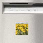 Frankreich, Provence, Valensole. Bereich Magnet (In Situ (Geschirrspüler))