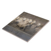 Frankreich, Provence. Weiße Camargue-Pferde laufen Fliese (Seite)