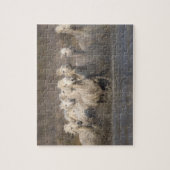 Frankreich, Provence. Weiße Camargue-Pferde laufen Puzzle (Vertikal)