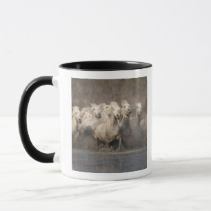 Frankreich, Provence. Weiße Camargue-Pferde laufen Tasse
