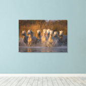 Frankreich, Provence. Weiße Camargue-Pferde Leinwanddruck (Insitu (Holzboden))